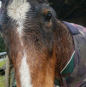 Meet your Posher, Autumn